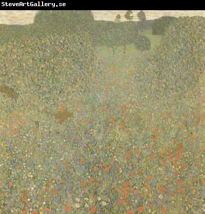 Gustav Klimt Poppy Field (mk20)
